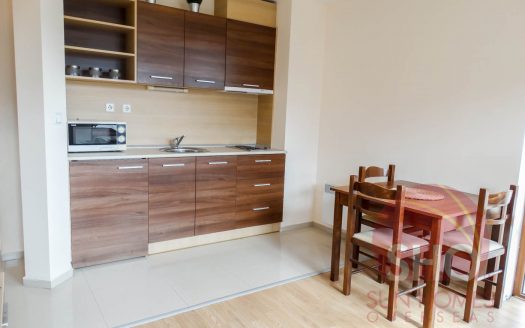 Furnished 1 bed on Belmont