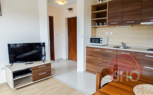 Furnished 1 bed on Belmont