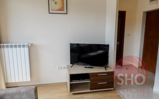 Furnished 1 bed on Belmont