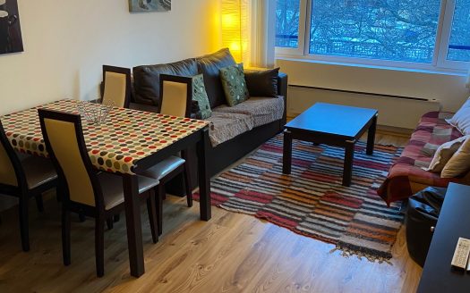 Furnished 1 bed on Polaris Inn