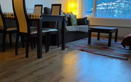 Furnished 1 bed on Polaris Inn