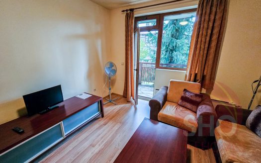 Furnished 1 bed on Mountain Suites