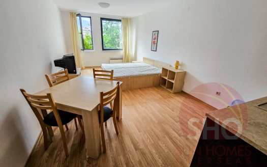 Furnished studio on Aspen Heights