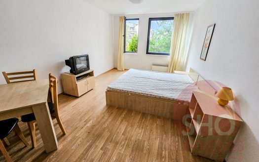 Furnished studio on Aspen Heights