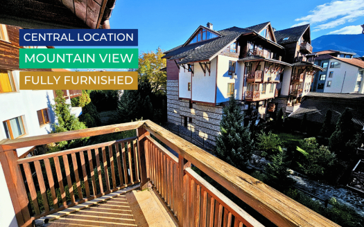 -Furnished studio on Mountain Suites
