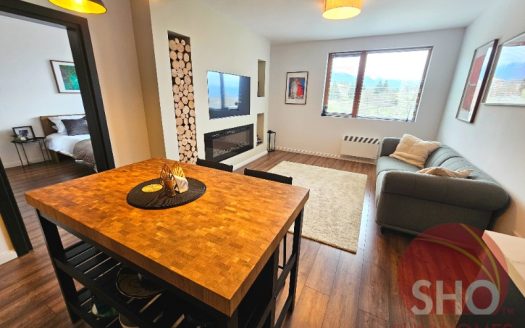 Home Furnished 1 bed on Mountain Suites -Home
