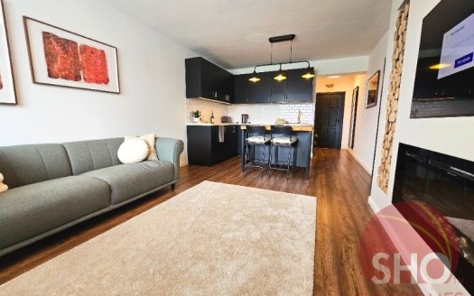 Home Furnished 1 bed on Mountain Suites -Home
