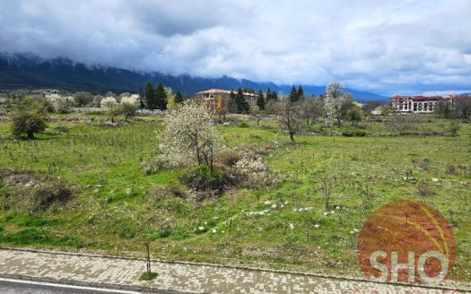 Home Furnished 1 bed on Mountain Suites -Home