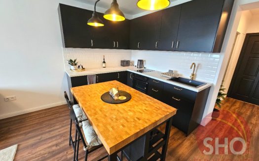 Home Furnished 1 bed on Mountain Suites -Home