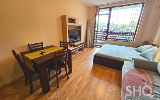 Home Furnished studio on Aspen Valley -Home