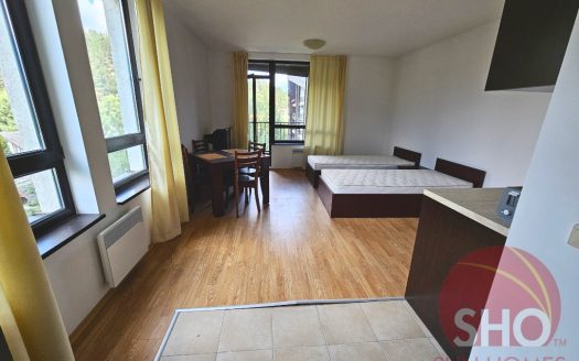 Home Furnished studio on Aspen Valley -Home