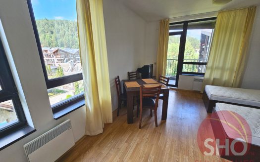 Home Furnished studio on Aspen Valley -Home